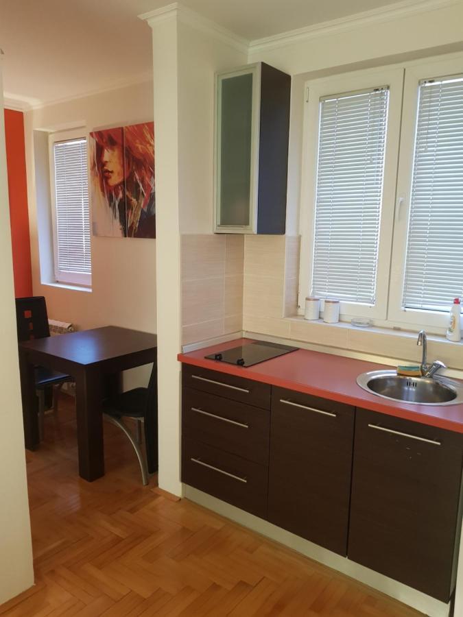 Rajiceva 5- Apartman Sa Prostranom Terasom I Garaznim Mestom Крагуевац Екстериор снимка